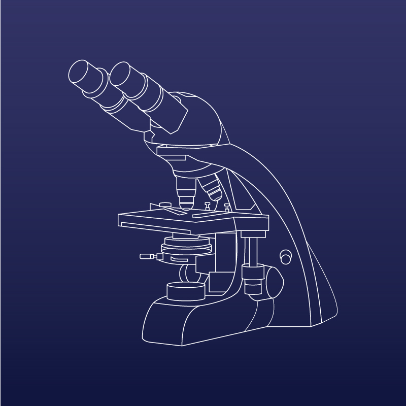 กล้องจุลทรรศน์ Microscope - BECTHAI